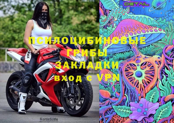 spice Пересвет