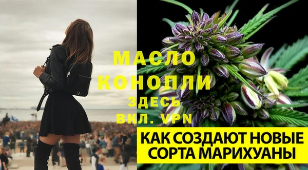 spice Пересвет