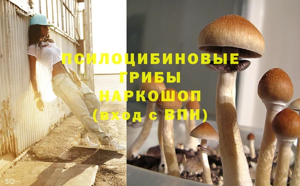 spice Пересвет