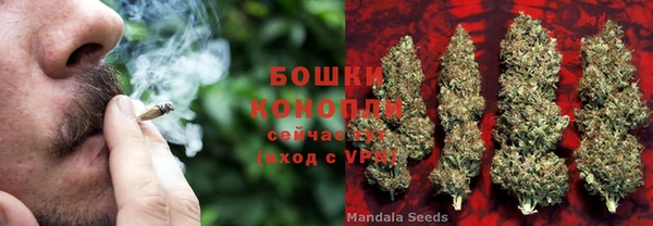 spice Пересвет