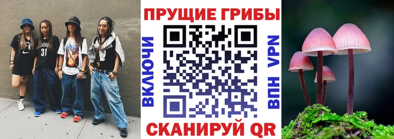 Купить где  Тайшет  Галлюциногенные грибы Psilocybe 
